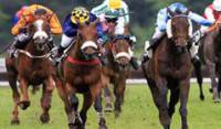 Résultats des courses du tierce et du quinté + en direct et sur internet