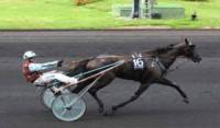 Up And Quick grand vainqueur du Criterium des 5 ans