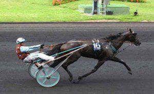 Up And Quick grand vainqueur du Criterium des 5 ans