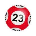 23