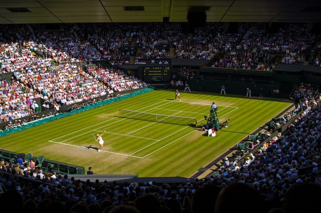 wimbledon finale
