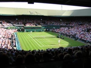 Parier sur Wimbledon 2024 : cotes, conseils, meilleurs bookmakers